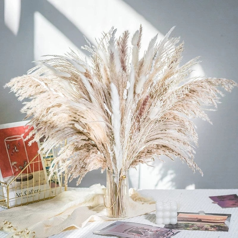 Trawa Pampasowa | Dekoracje Do Domu-Dried Flowers-Miloska