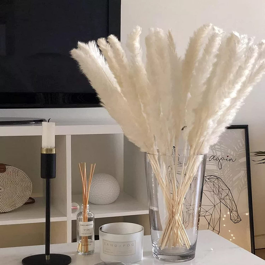 Trawa Pampasowa | Dekoracje Do Domu-Dried Flowers-Miloska