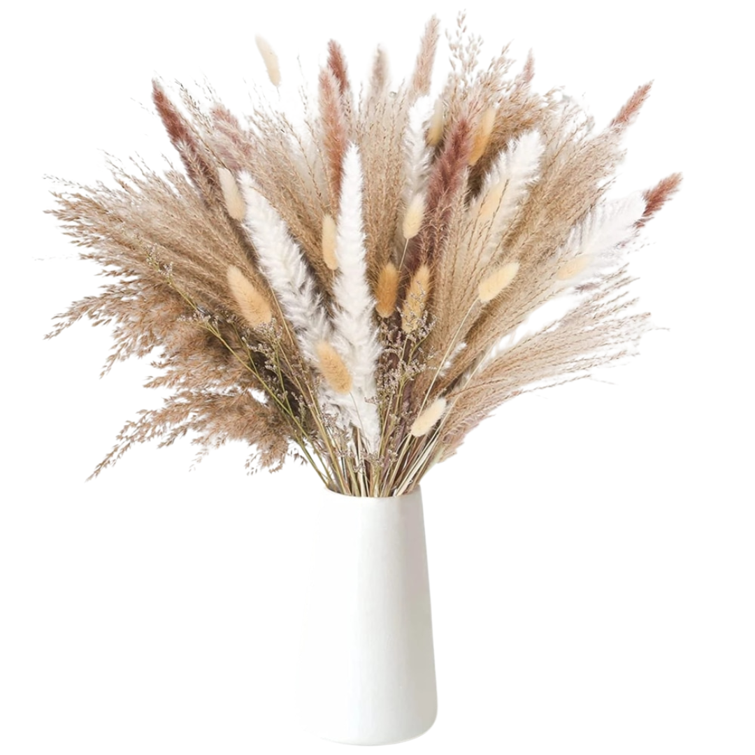 Trawa Pampasowa | Dekoracje Do Domu-Dried Flowers-Miloska