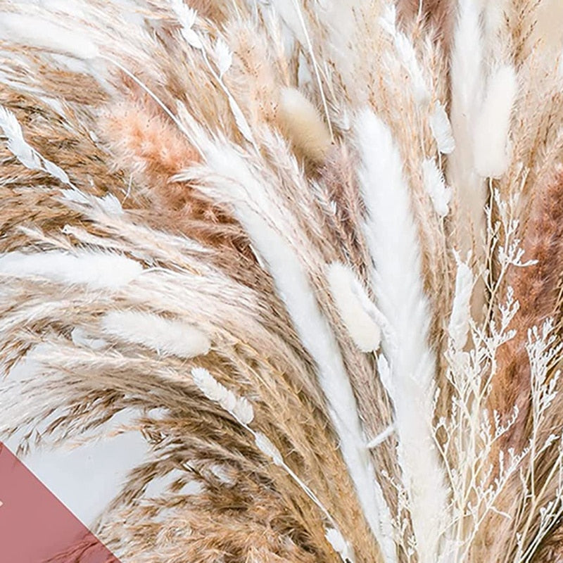 Trawa Pampasowa | Dekoracje Do Domu-Dried Flowers-Miloska