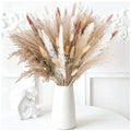Trawa Pampasowa | Dekoracje Do Domu-Dried Flowers-Miloska