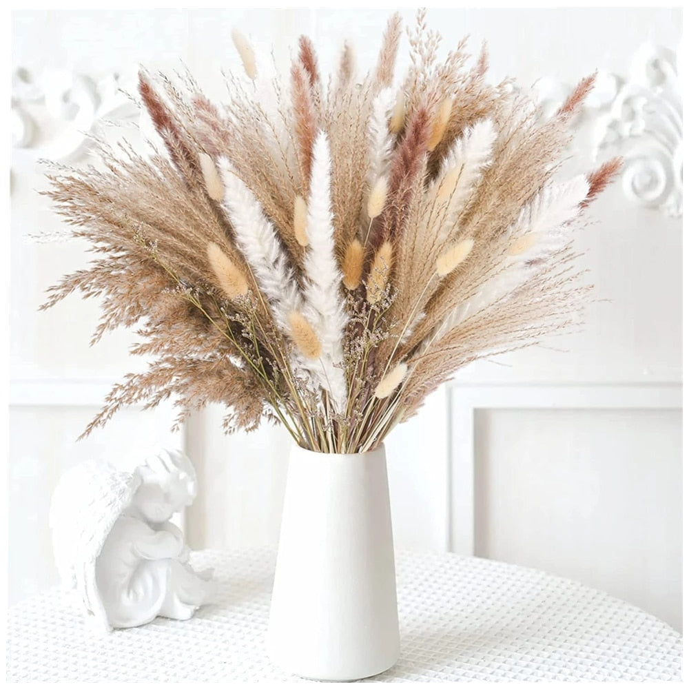 Trawa Pampasowa | Dekoracje Do Domu-Dried Flowers-Miloska