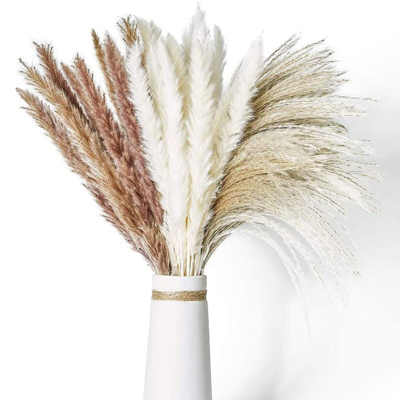 Trawa Pampasowa | Dekoracje Do Domu-Dried Flowers-Miloska