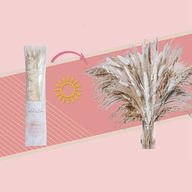 Trawa Pampasowa | Dekoracje Do Domu-Dried Flowers-Miloska